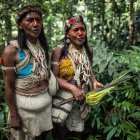 Mujeres Waorani cantan en la selva, su territorio ancestral en la región de Pastaza, en la Amazonía ecuatoriana