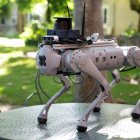 El perro robótico "Tefi", que ha sido creado por investigadores del Consejo Superior de Investigaciones Científicas (CSIC), está pensado para asistir a personas con discapacidad.