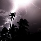 En la imagen de archivo, un rayo cae en Kolkata, este de la India. EFE/EPA/PIYAL ADHIKARY