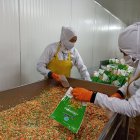 Producción.- Personal que trabaja en la empresa donde se elaboran productos IceMan.