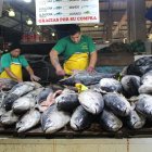 Personal. Hay cerca de 400 trabajadores solo en la parte de mariscos. Venden pesca negra y blanca.