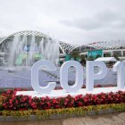 Plan. La COP15 tiene meta de protección de biodiversidad.