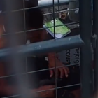 Evidencias. En el vídeo se observa al hombre rastrillando un arma de fuego.