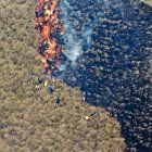 Acciones. Varias instituciones colaboraron en las tareas.