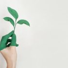 Imagen archivo, medio ambiente