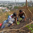 Grupos ambientalistas, empresa privada y habitantes de El Paraíso se unieron para reforestar el cerro.