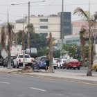 A la altura del dispensario Valdivia del IESS, en la avenida 25 de Julio, se observa solo el tronco y ramas tostadas de las palmeras.