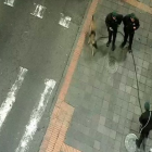 La Policía Nacional, con sus unidades especializadas, inspeccionaron las zonas de las alertas.