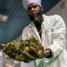 Michael Hant, especialista en cannabis de Hepworth Ag, muestra unas matas de marihuana el viernes 2 de diciembre de 2022, en la planta de procesamiento de la granja Pura Hepworth, en Milton, Nueva York (EE.UU.). La granja Pura Hepworth, situada a orillas del río Hudson, en la localidad de Milton (norte del estado de Nueva York), ya tiene lista su primera cosecha de cannabis para uso recreativo. Sus dueños solo esperan para su distribución que las autoridades neoyorquinas den el pistoletazo de salida a su venta, con la apertura -antes de fin de año- de dispensarios legales de marihuana. EFE/ Ángel Colmenares