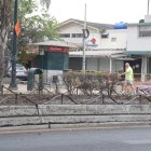 EN ALGUNOS TRAMOS DE LA AV VICTOR EMILIO ESTRADA, LAS PLANTAS LUCEN SECAS...ALEX LIMA.....25-12-2022