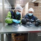 El fruto se exporta p