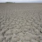 Paisaje lunar de polvo y suelo agrietado en la parte suroeste del Lago Naivasha, en Kenia. Archivo EFE/STEPHEN MORRISON