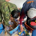 Último. El material será acopiado y destruido bajo acciones controladas.