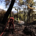 Los incendios acaban con hectáreas de bosques