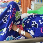 Daños. Un total de 17 niños ingresaron al Hospital Francisco de Icaza Bustamante, en su mayoría por amputaciones de sus dedos.