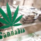 Brownies de cannabis en un mostrador, en una fotografía de archivo.