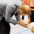 Imagen de Archivo del príncipe Enrique.