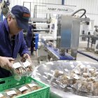 Planta. Una persona trabajando en la sección de empaque de fruta.