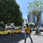 Data. Durante el 2022 el área de Áreas Naturales de la Epmmop plantó dos mil árboles, aproximadamente, entre pequeños y grandes en la ciudad.