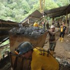 Referencia. El estudio de monitoreo satelital devela cifras alarmantes.