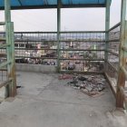 Un puente peatonal se vuelve un botadero de basura