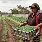Agro. Los pequeños productores necesitan que la Prefectura apoye las asociaciones agropecuarias