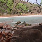 Las canchas. No cuentan con las condiciones mínimas para ser utilizadas por los residentes. Los dos arcos de fútbol, por ejemplo, están rotos como se observa en la imagen.