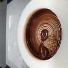 Imagen de microscopio de chocolate negro fundido. Imagen: Siavash Soltanahmadi/Escuela de Ciencias de la Alimentación y Nutrición de Leeds (Reino Unido).