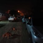 Santa Rosa. Policías hallan dos carros abandonados.