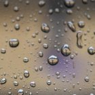 El dispositivo es una especie de hoja de planta artificial: captura agua y luz y lo convierte en energía química.