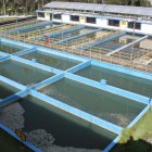 La medida se tomó por el incremento de consumo en barrio del sur.