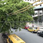 Viviendas.  En los balcones se puede observar cómo los cables se enredan entre los árboles.