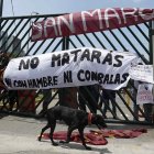 Un grupo de estudiantes de la Federación Universitaria de San Marcos cuelga pancartas en una de las entradas de la Universidad Nacional Mayor de San Marcos (UNMSM), en Lima (Peru). EFE/ Paolo Aguilar