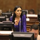 onente. La asambleísta separada de la Izquierda Democrática Yeseña Guamaní es una gran aliada de quienes la destituyeron de la Vicepresidencia.