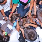 Niños juegan con mascotas que fueron llevados hasta el albergue para que ellos interactúen con los animales.
