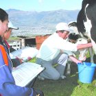 Finca. Una persona saca leche de la vaca de manera manual.