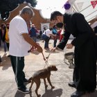 Personas llevan a sus mascotas a bendecir en el marco de los festejos de San Antonio Abad hoy, en el municipio de San Andrés Cholula, estado de Puebla (México).