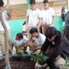 Los estudiantes realizan la siembra de varios tipos de plantas.