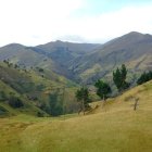 Vista parcial del área de protección hídrica de Quinllunga, en la provincia de Bolívar.