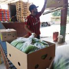 Oferta. Una baja producción influyó en la caída del 7 %.