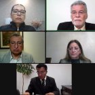 Reunión virtual de algunos integrantes del CNE.