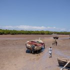 Según datos de la FAO la industria agroalimentaria es la responsable del 30 por ciento de las emisiones de gases de efecto invernadero.