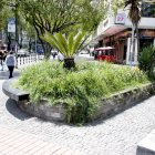 En la zona turística de Quito se pueden ver algunos jardines que no han sido atendidos.