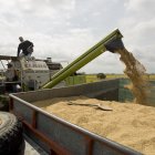 La UNA habría hecho compra y venta de arroz sin cumplir los precios fijos, según la Contraloría.