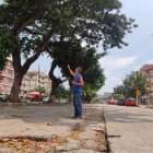 1. Inconformidad. Los residentes muestran el tamaño de los árboles y cómo caen las ramas sobre los carros cada vez que hay lluvias.