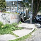 En la calle Selvalegre se puede ver cómo el césped se ha apoderado de buena parte de la vereda.