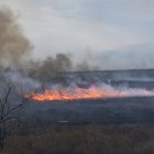 Vista los incendios forestales, en una fotografía de archivo. EFE/Franco Trovato Fuoco