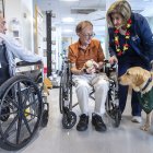 Miami. Un registro de la perra Harmony al acompañar a pacientes del Centro Médico Jackson North.
