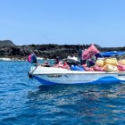 Una embarcación transporta sacos con parte de los desechos recogidos en tres islas de Galápagos.
