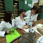 Carmen Bonifaz, directora del herbario, enseña a sus estudiantes la importancia de las plantas.